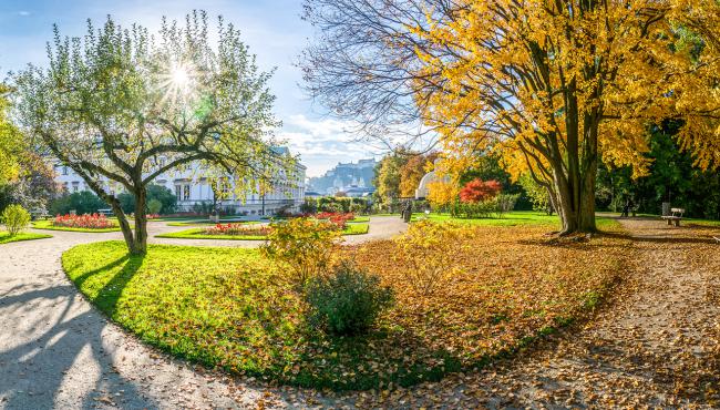 Stinshoff Außenanlagen - Szene im Park bei Sonnenaufgang